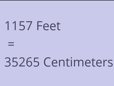 1157 FEET TO CM