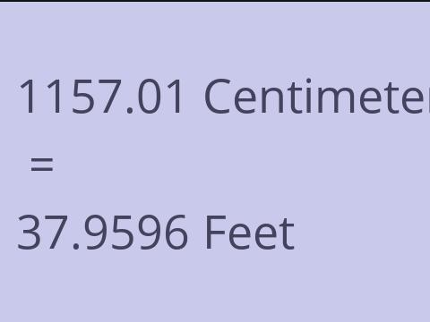 1157.01 CM TO FEET