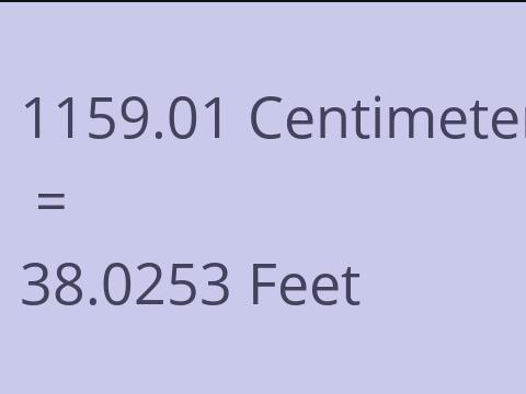 1159.01 CM TO FEET