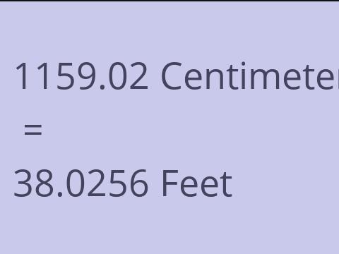 1159.02 CM TO FEET