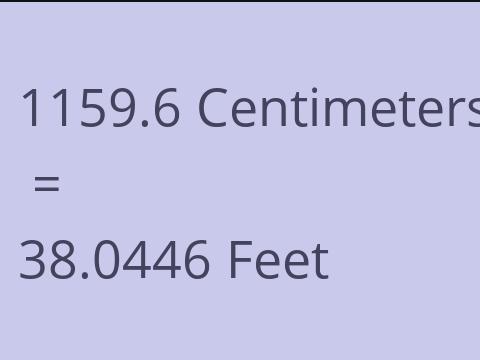 1159.6 CM TO FEET