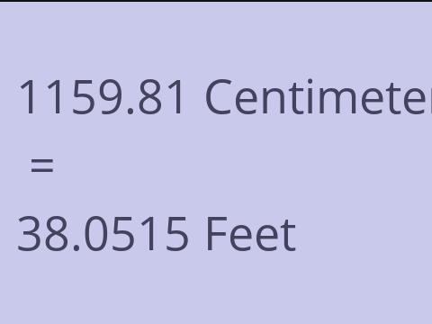 1159.81 CM TO FEET