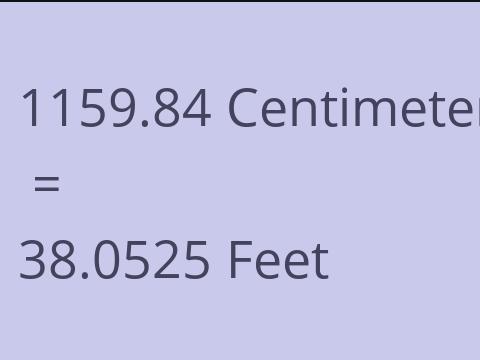 1159.84 CM TO FEET