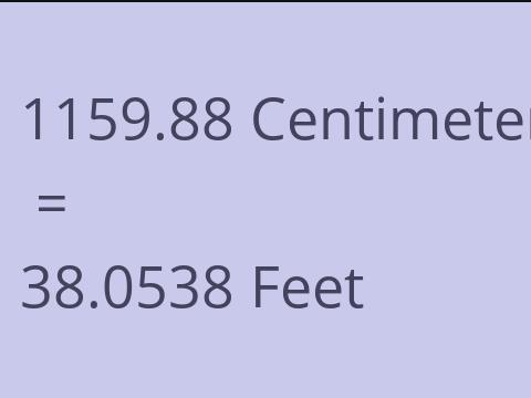 1159.88 CM TO FEET