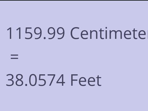 1159.99 CM TO FEET