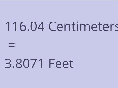 116.04 CM TO FEET