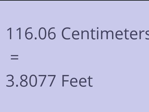 116.06 CM TO FEET