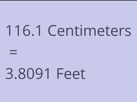 116.1 CM TO FEET