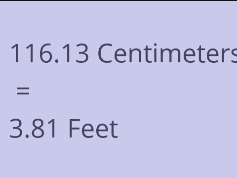 116.13 CM TO FEET