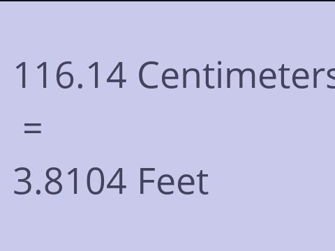 116.14 CM TO FEET