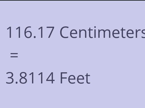 116.17 CM TO FEET