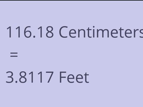 116.18 CM TO FEET