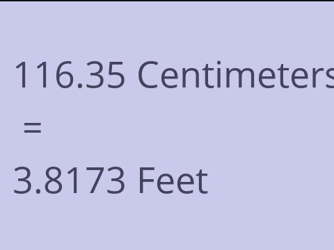 116.35 CM TO FEET