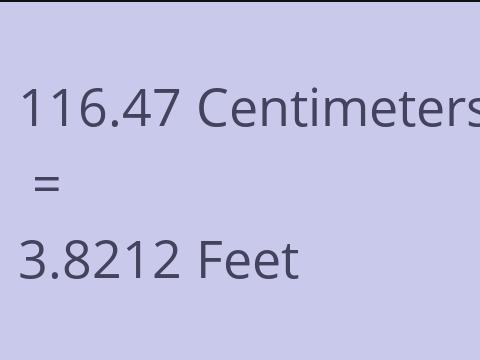 116.47 CM TO FEET