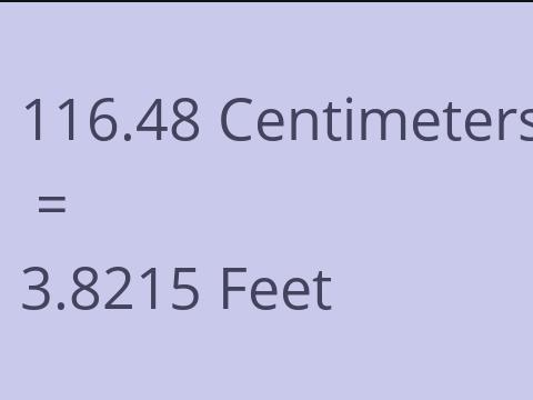 116.48 CM TO FEET