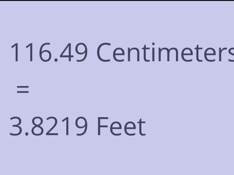 116.49 CM TO FEET