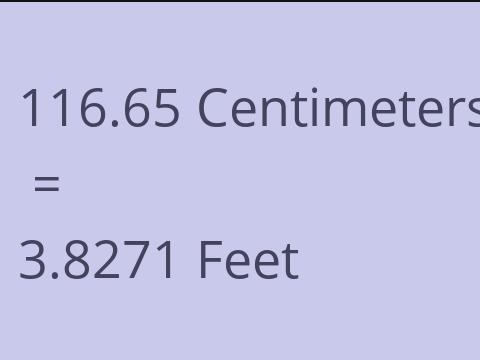 116.65 CM TO FEET