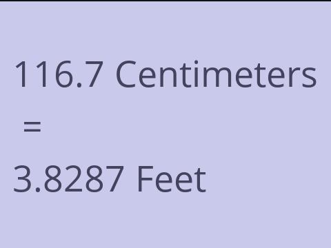 116.7 CM TO FEET