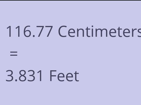 116.77 CM TO FEET