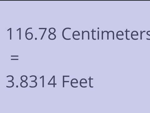 116.78 CM TO FEET