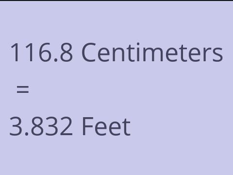 116.8 CM TO FEET