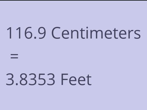 116.9 CM TO FEET