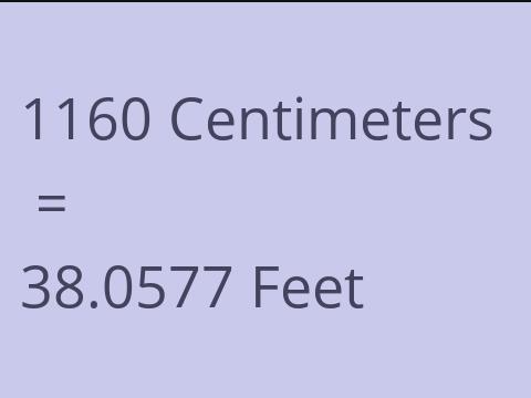 1160 CM TO FEET