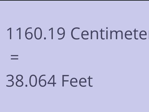 1160.19 CM TO FEET