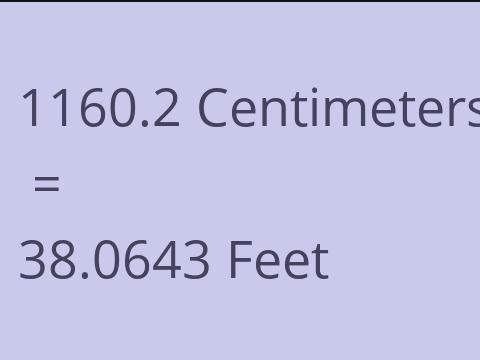 1160.2 CM TO FEET