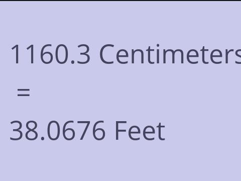 1160.3 CM TO FEET