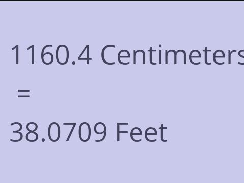 1160.4 CM TO FEET