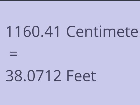 1160.41 CM TO FEET