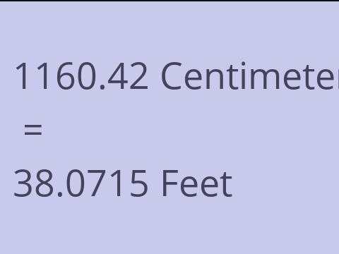 1160.42 CM TO FEET