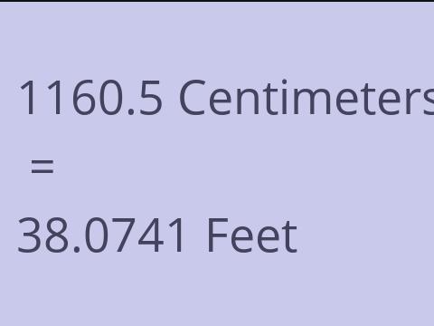 1160.5 CM TO FEET