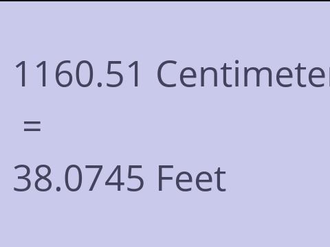 1160.51 CM TO FEET