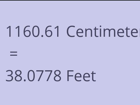 1160.61 CM TO FEET