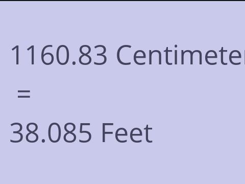 1160.83 CM TO FEET