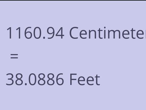 1160.94 CM TO FEET