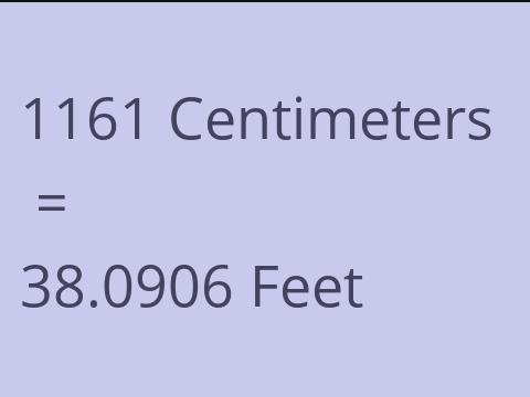 1161 CM TO FEET