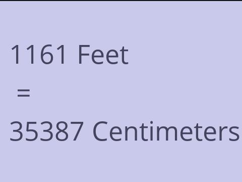 1161 FEET TO CM