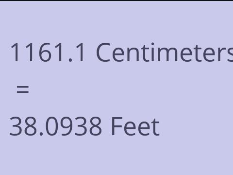 1161.1 CM TO FEET