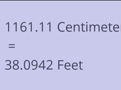 1161.11 CM TO FEET