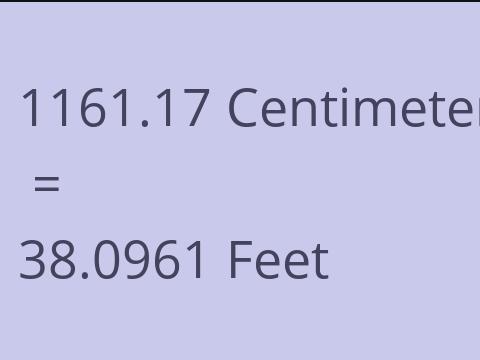 1161.17 CM TO FEET