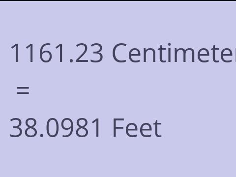 1161.23 CM TO FEET