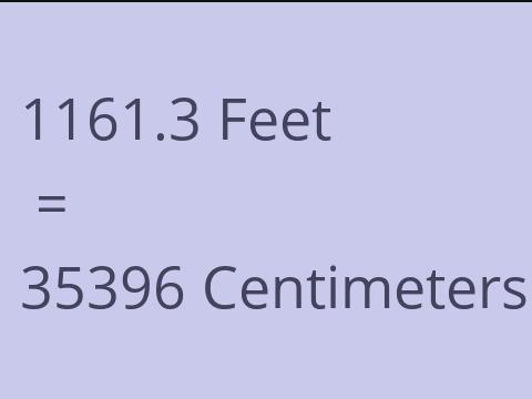 1161.3 FEET TO CM