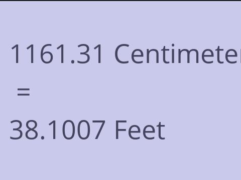 1161.31 CM TO FEET