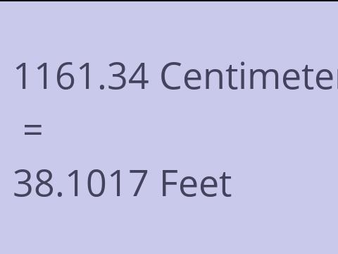 1161.34 CM TO FEET