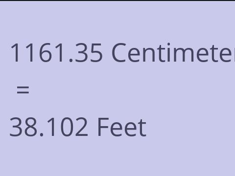 1161.35 CM TO FEET