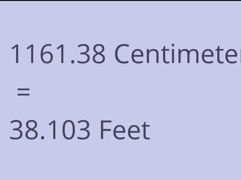 1161.38 CM TO FEET