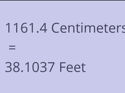 1161.4 CM TO FEET